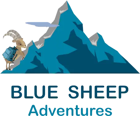 blue sheep